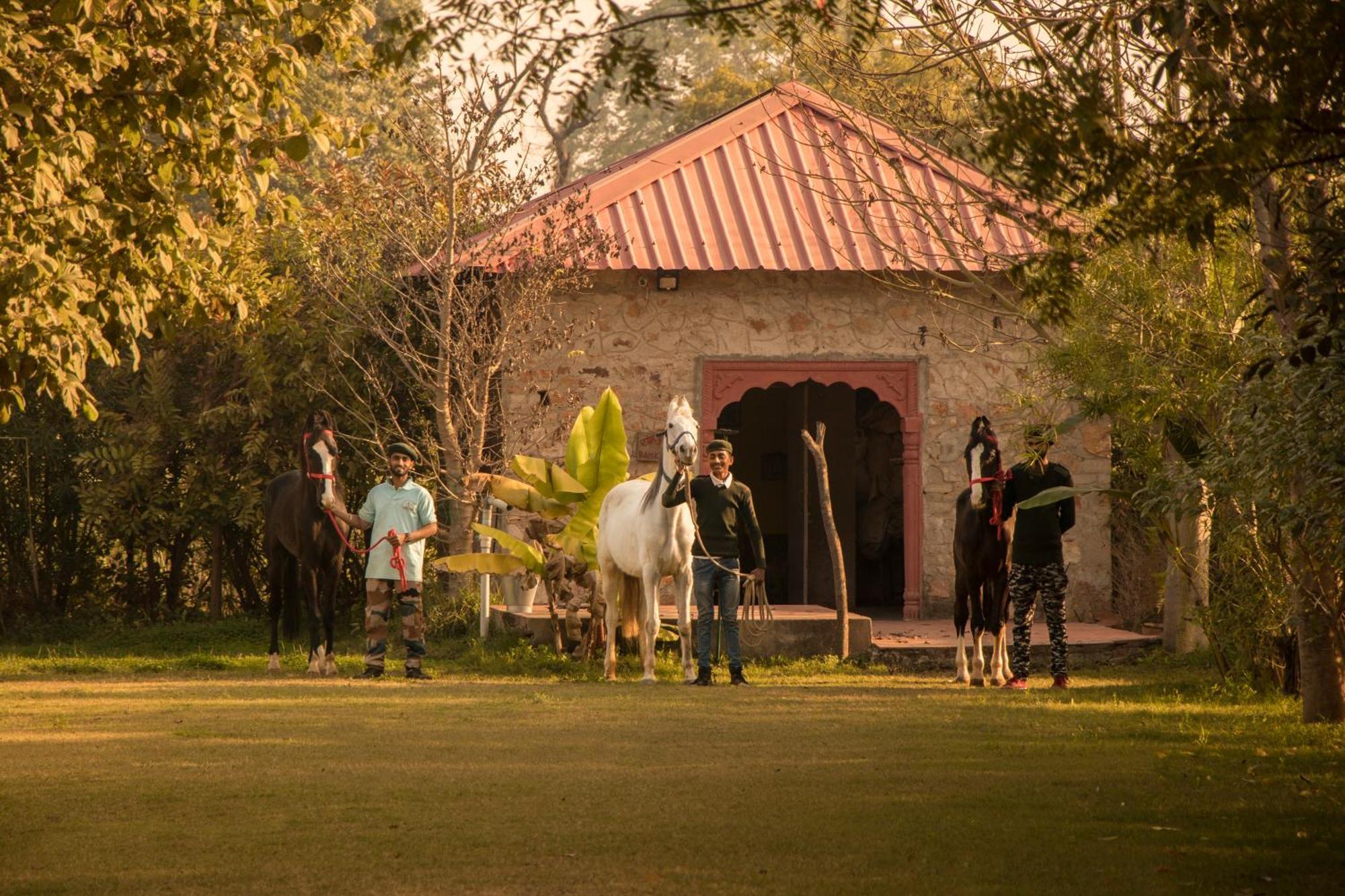 Maa Ashapura Resort Савай-Мадгопур Екстер'єр фото